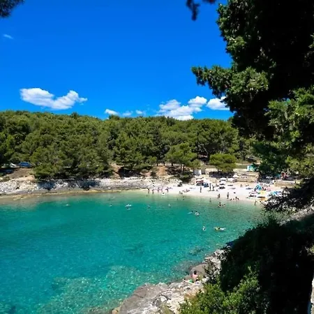 Valsaline 41 * بولا